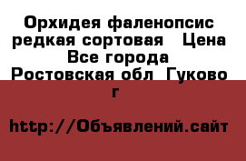 Орхидея фаленопсис редкая сортовая › Цена ­ 800 - Все города  »    . Ростовская обл.,Гуково г.